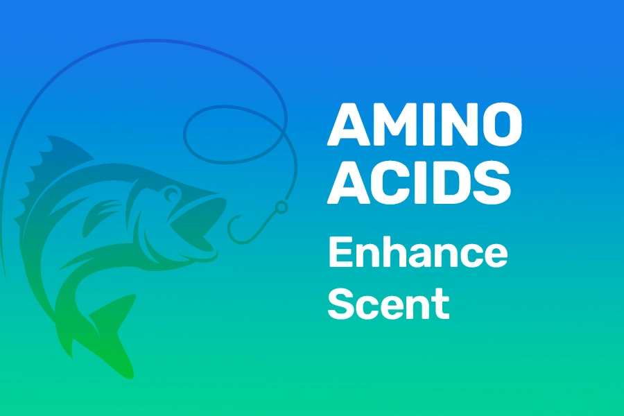 amino acids enhance scent