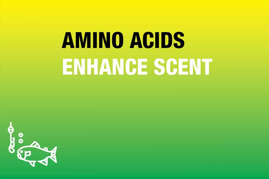 amino acids enhance scent