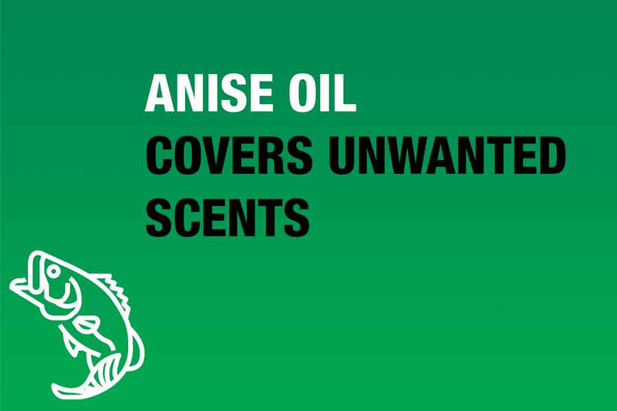 anise oil covers unwanted scents