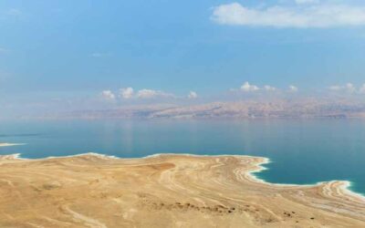 New Hope from a Dead Sea