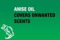 anise-oil