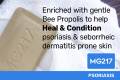 5202 PROPOLIS_4