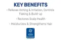 MG217 5215 KEY BENEFITS