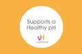 vH-Prebiotic-Suppositories-Supports-a-health-pH